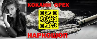 кокс Гудермес