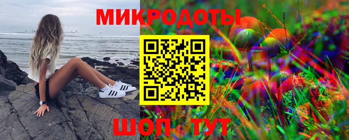 Галлюциногенные грибы Psilocybine cubensis Кулебаки