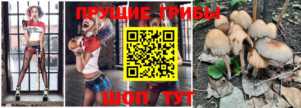 Псилоцибиновые грибы Magic Shrooms  Вход с VPN  Кулебаки 