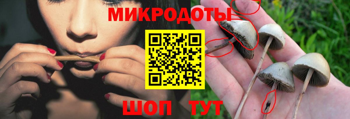 NBOMe  Кулебаки  Метамфетамин  MDMA  Каннабис  ЭКСТАЗИ  КОКАИН  Меф   ГАШИШ  Вход с VPN 